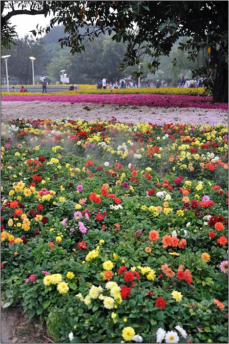 2010台北國際花卉博覽會。圓山公園區