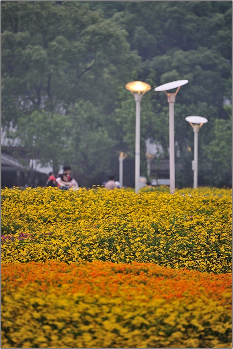 2010台北國際花卉博覽會。圓山公園區