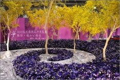 2010台北國際花卉博覽會。圓山公園區