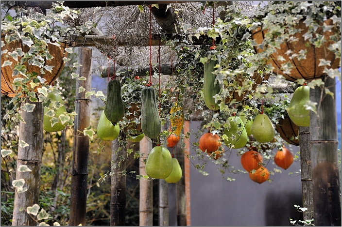 2010台北國際花卉博覽會。圓山公園區 - 爭豔館