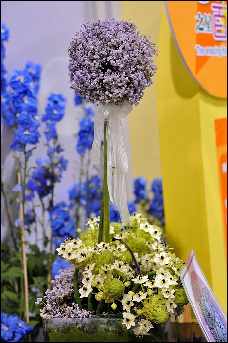 2010台北國際花卉博覽會。圓山公園區 - 爭豔館