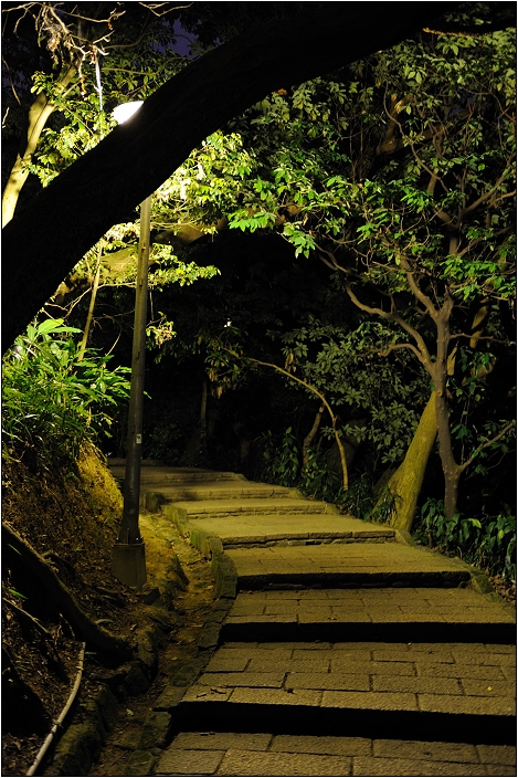 【台北 景點】虎山步道 | 夏季可賞螢火蟲，也可九五峰健行登頂遠眺101的夕照