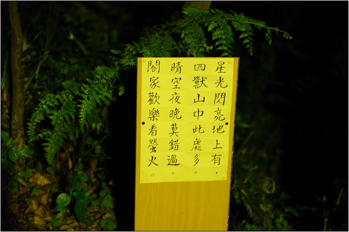 【台北 景點】虎山步道 | 夏季可賞螢火蟲，也可九五峰健行登頂遠眺101的夕照