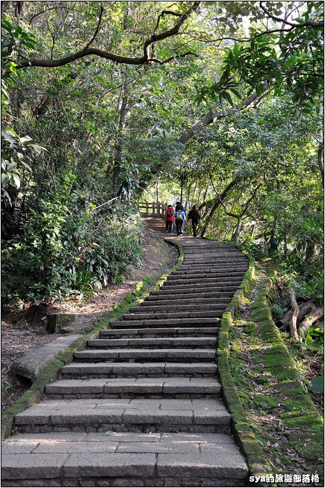 【台北 景點】虎山步道 | 夏季可賞螢火蟲，也可九五峰健行登頂遠眺101的夕照