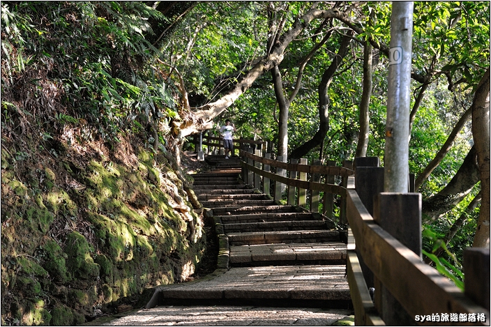 【台北 景點】虎山步道 | 夏季可賞螢火蟲，也可九五峰健行登頂遠眺101的夕照