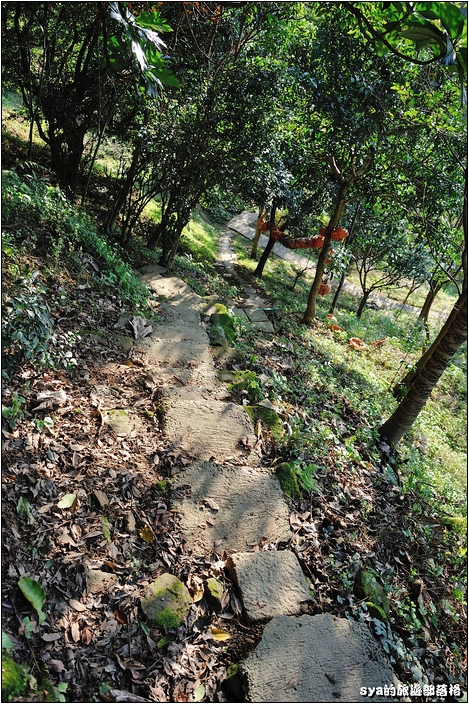 【台北 景點】虎山步道 | 夏季可賞螢火蟲，也可九五峰健行登頂遠眺101的夕照