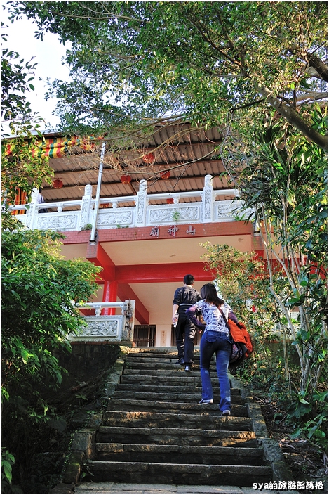 【台北 景點】虎山步道 | 夏季可賞螢火蟲，也可九五峰健行登頂遠眺101的夕照