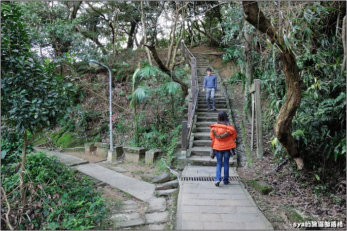 【台北 景點】虎山步道 | 夏季可賞螢火蟲，也可九五峰健行登頂遠眺101的夕照