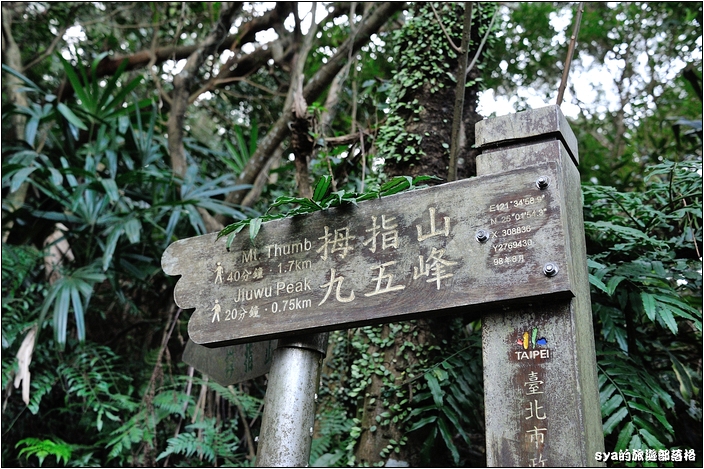 【台北 景點】虎山步道 | 夏季可賞螢火蟲，也可九五峰健行登頂遠眺101的夕照