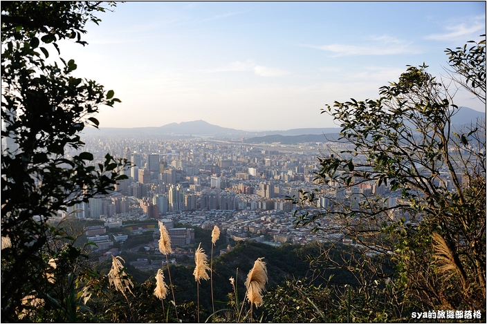 【台北 景點】虎山步道 | 夏季可賞螢火蟲，也可九五峰健行登頂遠眺101的夕照