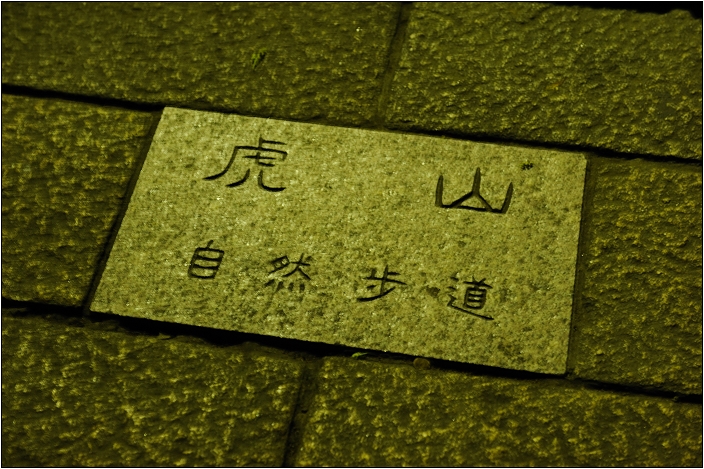 【台北 景點】虎山步道 | 夏季可賞螢火蟲，也可九五峰健行登頂遠眺101的夕照