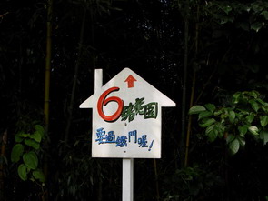 【新竹 親子景點】馬武督探索森林 | 綠光小學