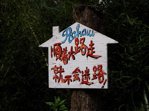 【新竹 親子景點】馬武督探索森林 | 綠光小學