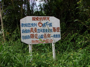 【新竹 親子景點】馬武督探索森林 | 綠光小學