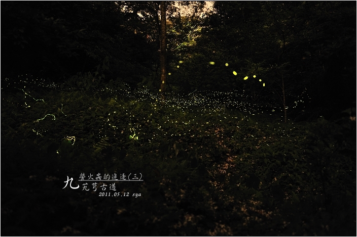 大艽芎古道