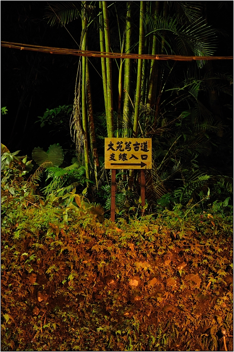 【桃園 景點】大艽芎古道 | 動人的五月雪步道，同時還可觀賞螢火蟲