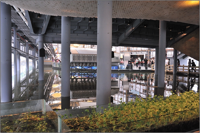 2010台北國際花卉博覽會。圓山公園區 - 流行館