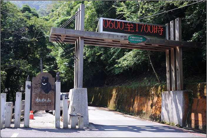 【桃園北橫 景點】拉拉山(達觀山)神木群 | 毛毛蟲的家