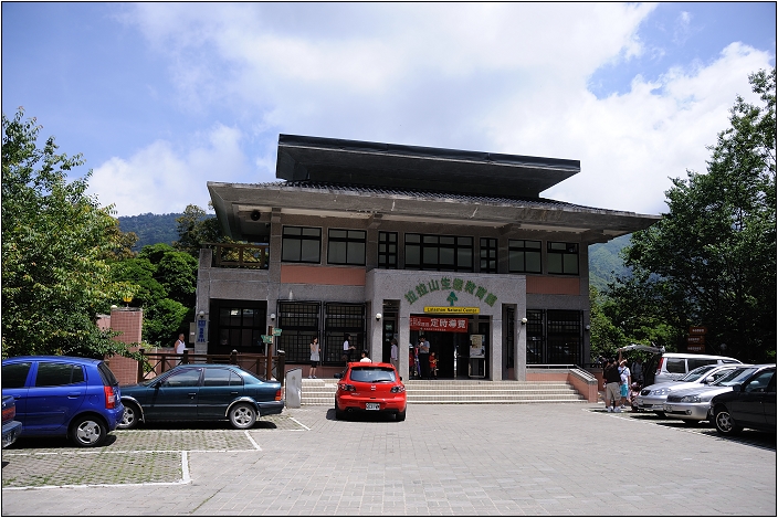 【桃園北橫 景點】拉拉山(達觀山)神木群 | 毛毛蟲的家