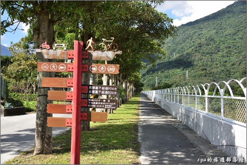 【花蓮 推薦民宿】金澤居 | 大樹旁的溫度與歡笑。大草皮、餵魚與舒適的房間