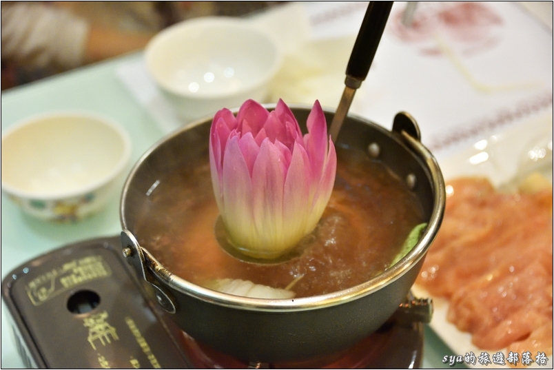 【花蓮 推薦民宿】金澤居 | 大樹旁的溫度與歡笑。大草皮、餵魚與舒適的房間