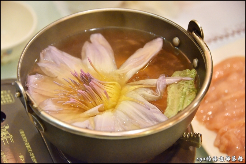 【花蓮 推薦民宿】金澤居 | 大樹旁的溫度與歡笑。大草皮、餵魚與舒適的房間