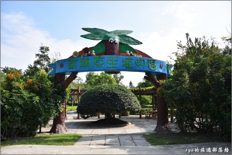 【花蓮 親子景點】知卡宣親水公園 | 冬天適合散步賞景、夏天適合親子玩水