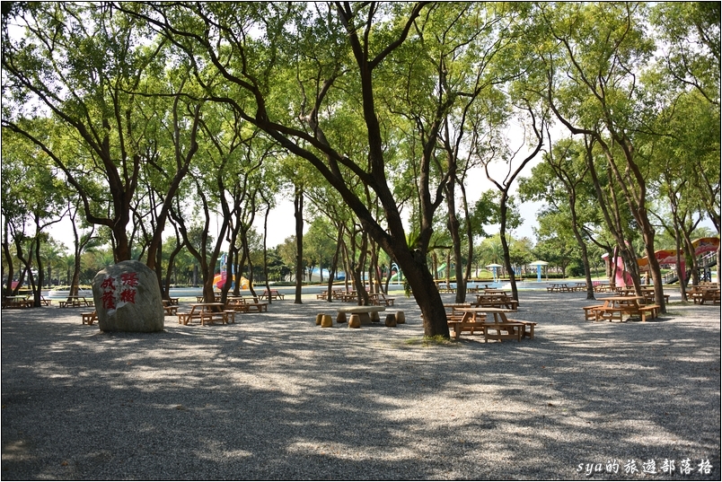 【花蓮 親子景點】知卡宣親水公園 | 冬天適合散步賞景、夏天適合親子玩水