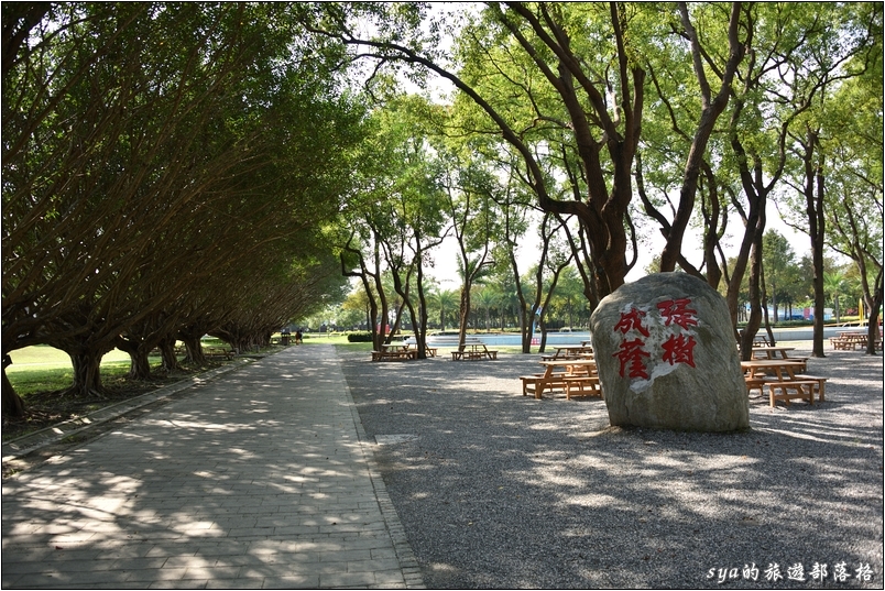 【花蓮 親子景點】知卡宣親水公園 | 冬天適合散步賞景、夏天適合親子玩水
