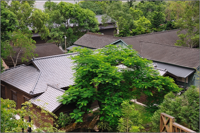 【花蓮 景點】林田山林業文化園區