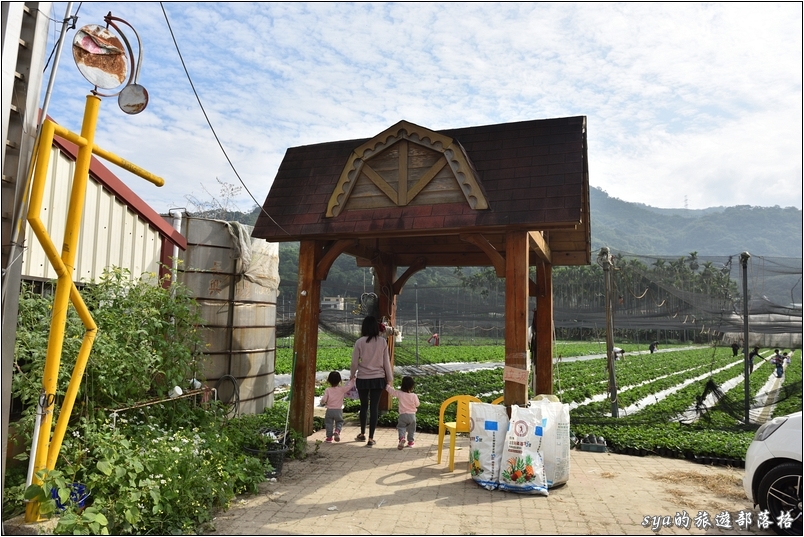 【南投國姓】羊來了草莓園 | 歡樂的親子時光