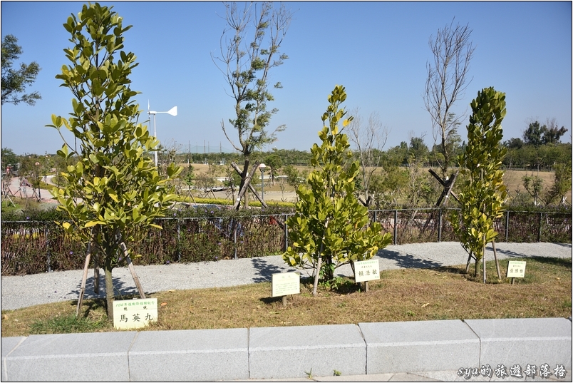 【嘉義 景點】故宮南院