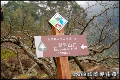 【苗栗 景點】馬那邦山 | 近城的楓紅