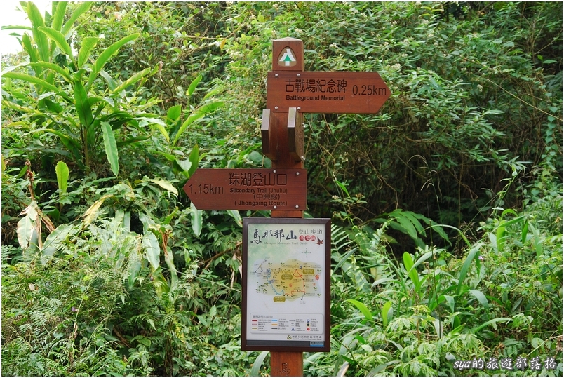 【苗栗 景點】馬那邦山 | 近城的楓紅