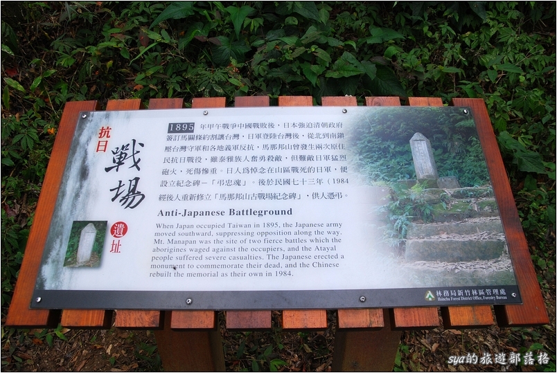 【苗栗 景點】馬那邦山 | 近城的楓紅