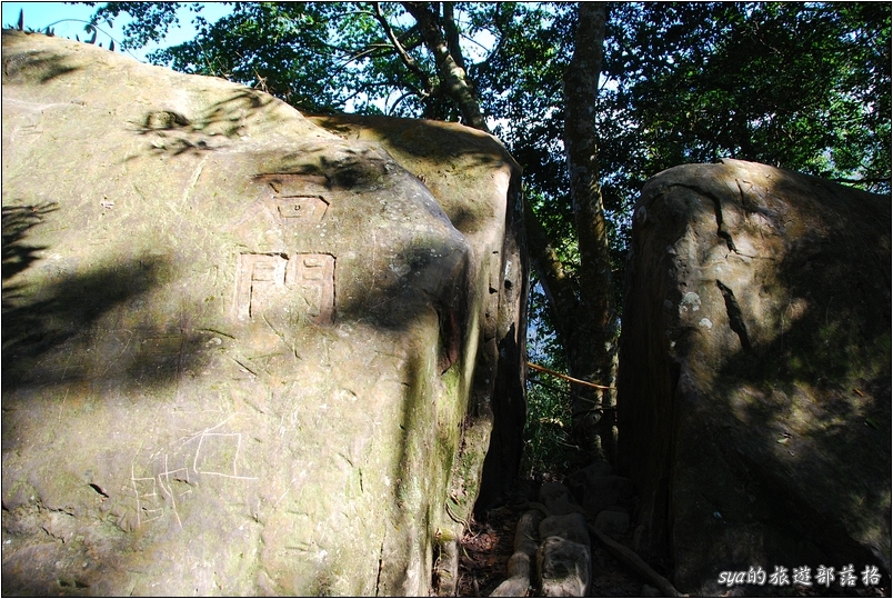 【苗栗 景點】馬那邦山 | 近城的楓紅