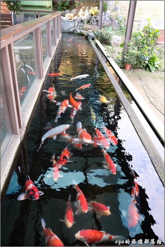 【淡水】日光行館景觀親子餐廳 | 下午茶/排餐/包棟住宿的好選擇（已停業）