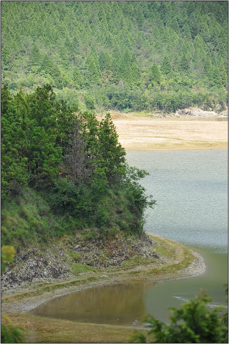 太平山翠峰湖 | 雲霧飄渺間的明鏡（順遊翠峰湖環山步道、平元自然步道）