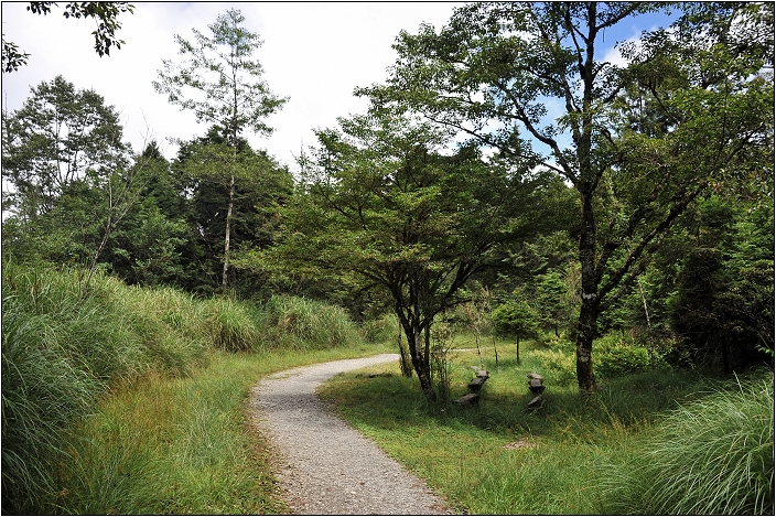 太平山翠峰湖 | 雲霧飄渺間的明鏡（順遊翠峰湖環山步道、平元自然步道）
