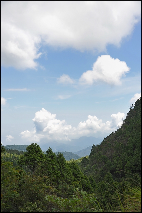 太平山翠峰湖 | 雲霧飄渺間的明鏡（順遊翠峰湖環山步道、平元自然步道）