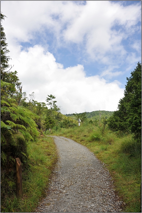 太平山翠峰湖 | 雲霧飄渺間的明鏡（順遊翠峰湖環山步道、平元自然步道）