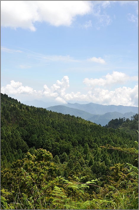 太平山翠峰湖 | 雲霧飄渺間的明鏡（順遊翠峰湖環山步道、平元自然步道）