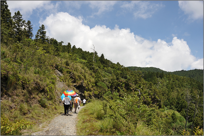 太平山翠峰湖 | 雲霧飄渺間的明鏡（順遊翠峰湖環山步道、平元自然步道）