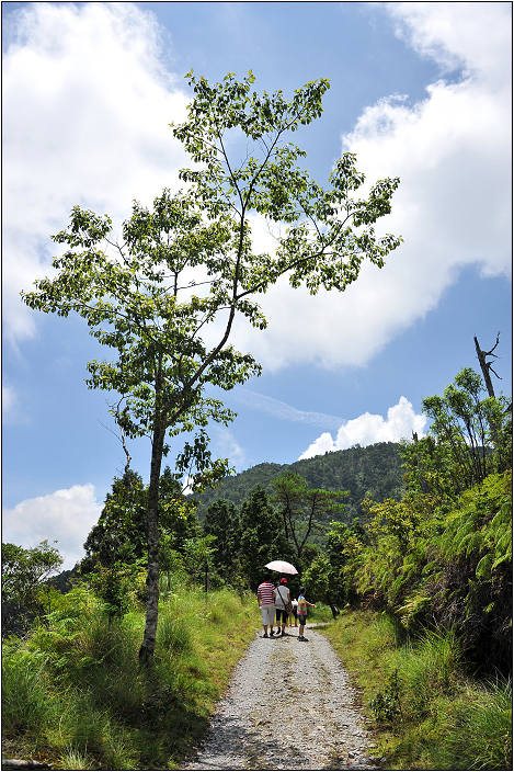 太平山翠峰湖 | 雲霧飄渺間的明鏡（順遊翠峰湖環山步道、平元自然步道）
