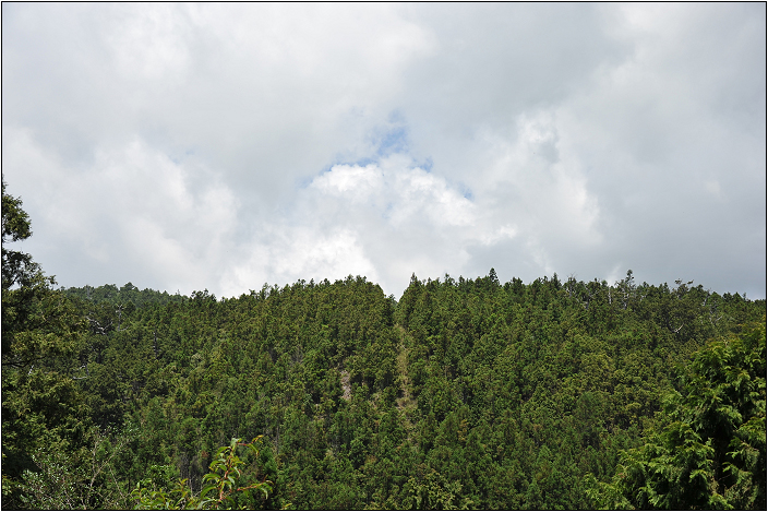 太平山翠峰湖 | 雲霧飄渺間的明鏡（順遊翠峰湖環山步道、平元自然步道）