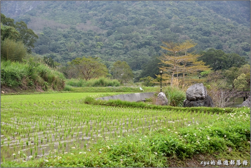 羅山遊憩區 | 羅山瀑布、羅山泥火山、羅山大魚池