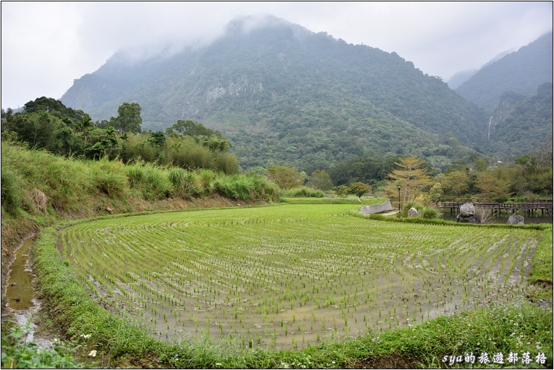 羅山遊憩區 | 羅山瀑布、羅山泥火山、羅山大魚池