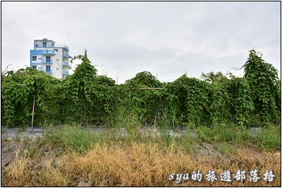 【宜蘭 親子民宿】蘭陽溪口海景民宿 | 日出、賞鳥、單車、釣魚、攝影、溜滑梯 (文末有訂房優惠)