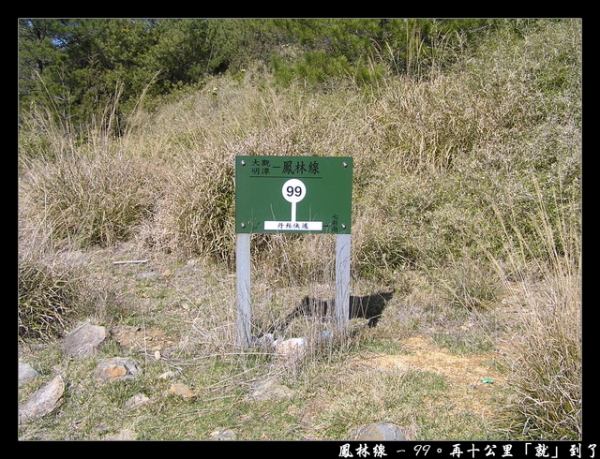 【南投 景點】丹大林道 | 遺失的福爾摩沙樂章