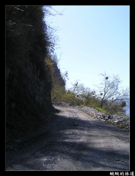 【南投 景點】丹大林道 | 遺失的福爾摩沙樂章